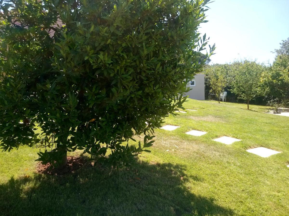 Casal Do Pinheiro Villa Obidos Ngoại thất bức ảnh